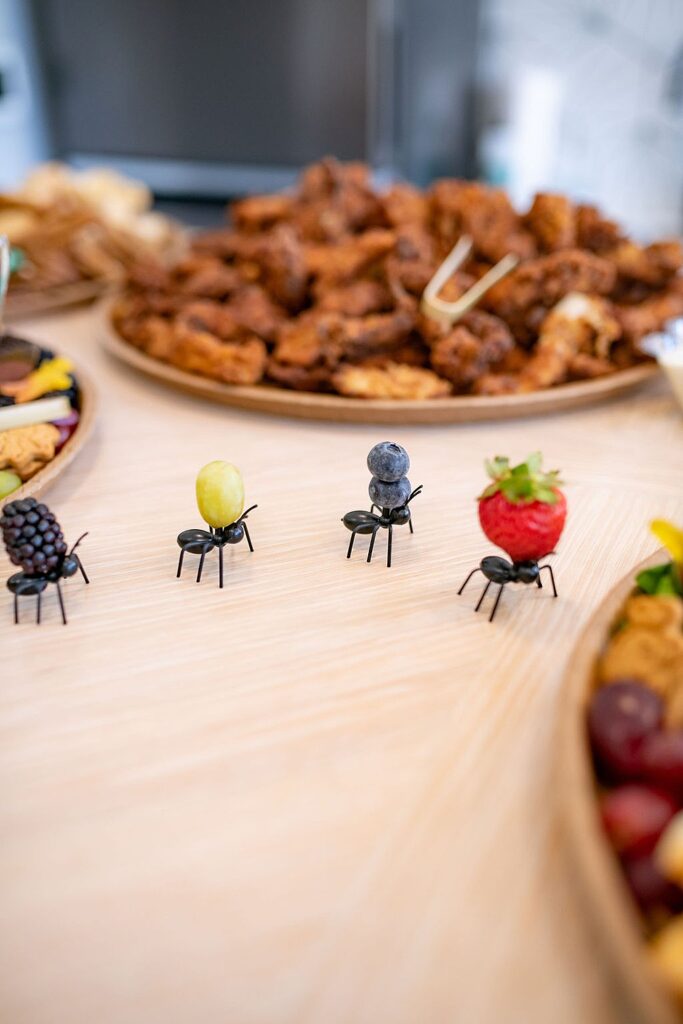 Bug and Lego Themed Birthday Party; children's party and event planner based in Raleigh, North Carolina; Little Raleigh Party